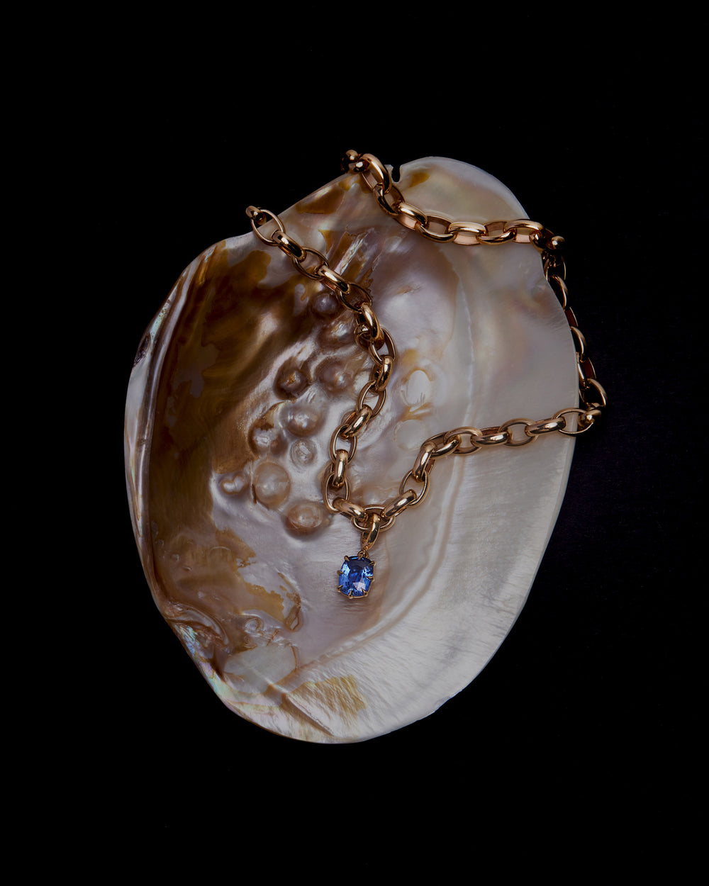Bold Oval Belcher Chain - View