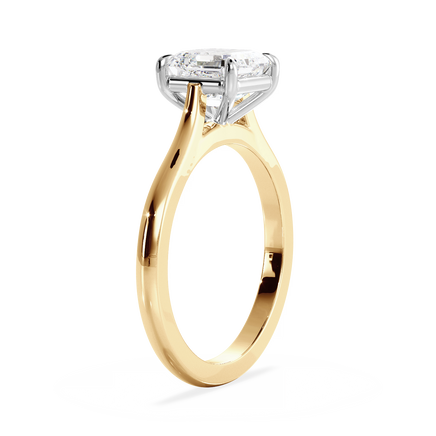 Base Ring - 010100001201020000000000