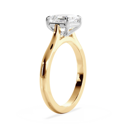 Base Ring - 010100001201030000000000