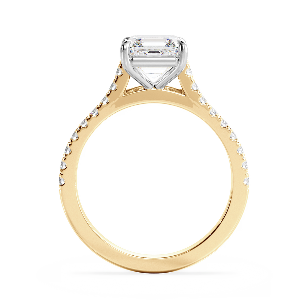 Base Ring - 010100001203070100000000 - View 