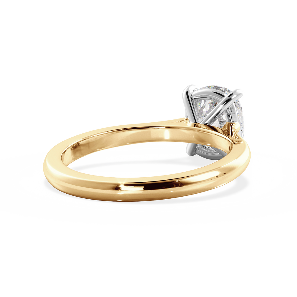 Base Ring - 010300011201020000000000 - View 