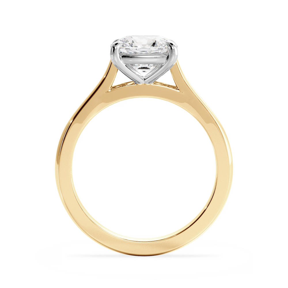 Base Ring - 010300021201020000000000 - View 