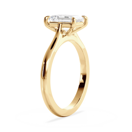 Base Ring - 010400010401020000000000