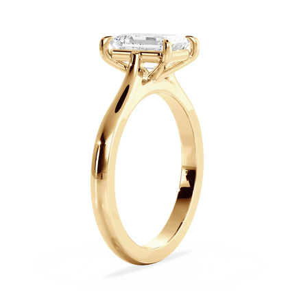 Base Ring - 010400010401030000000000