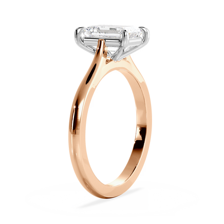 Base Ring - 010400011101020000000000