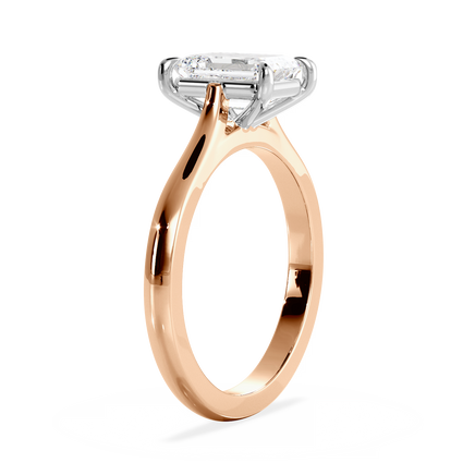 Base Ring - 010400011101030000000000
