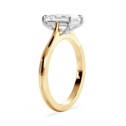 Base Ring - 010400011201020000000000