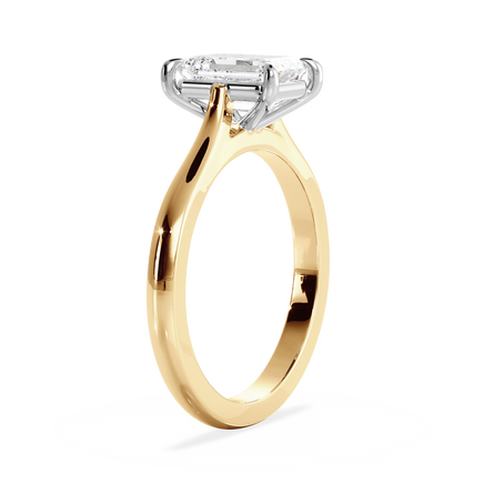 Base Ring - 010400011201030000000000