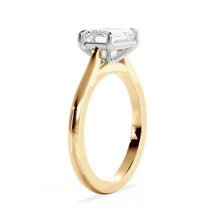 Base Ring - 010400021201030000000000