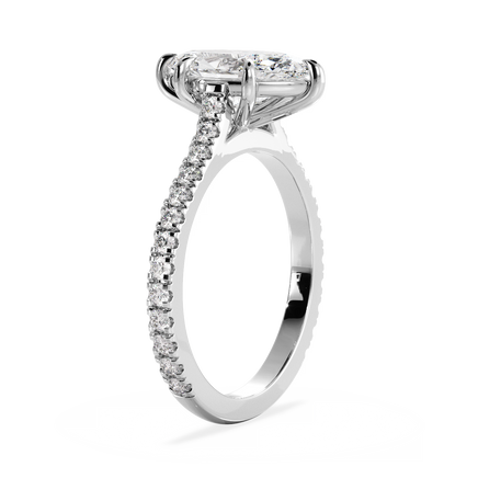 Base Ring - 010500010103070200000000