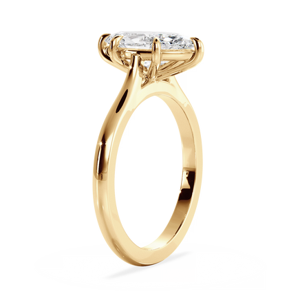 Base Ring - 010500010401020000000000