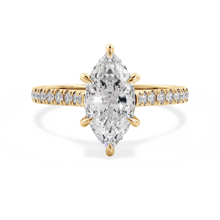 Base Ring - 010500010403110600000000