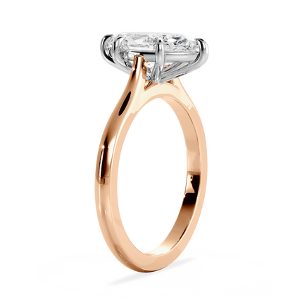 Base Ring - 010500011101020000000000
