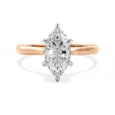 Base Ring - 010500011101030000000000