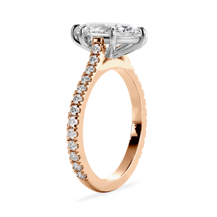 Base Ring - 010500011103110600000000