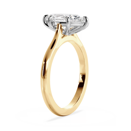 Base Ring - 010500011201020000000000