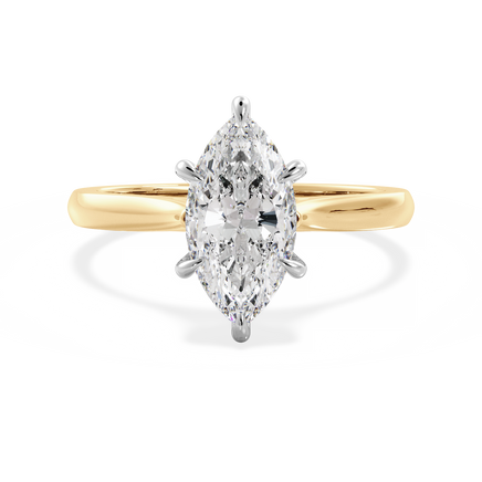 Base Ring - 010500011201030000000000