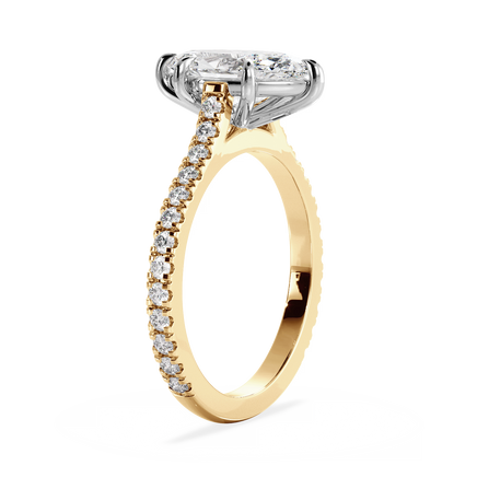 Base Ring - 010500011203070200000000