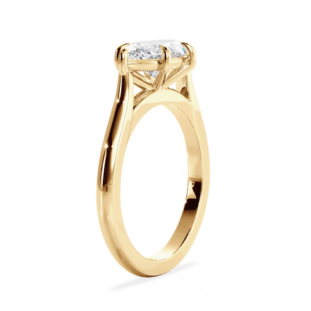 Base Ring - 010500020401030000000000
