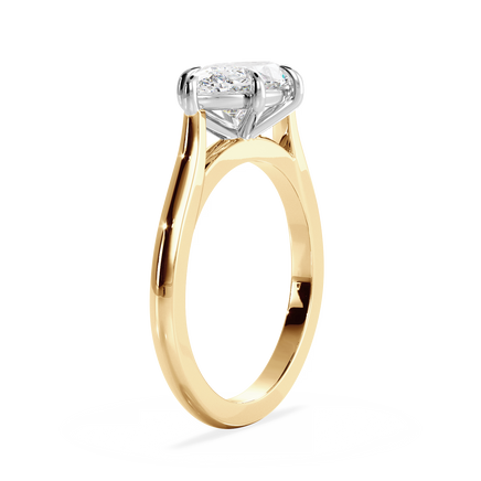 Base Ring - 010500021201020000000000