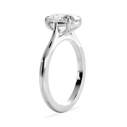 Base Ring - 010600010101020000000000