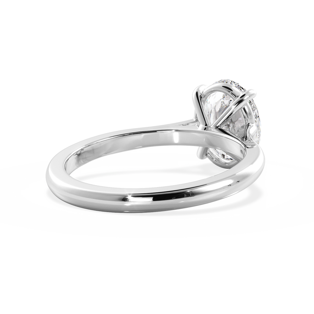 Base Ring - 010600010101020000000000 - View 