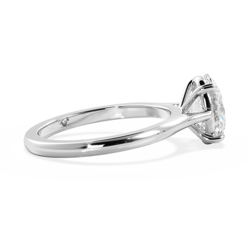 Base Ring - 010600010101020000000000 - View 