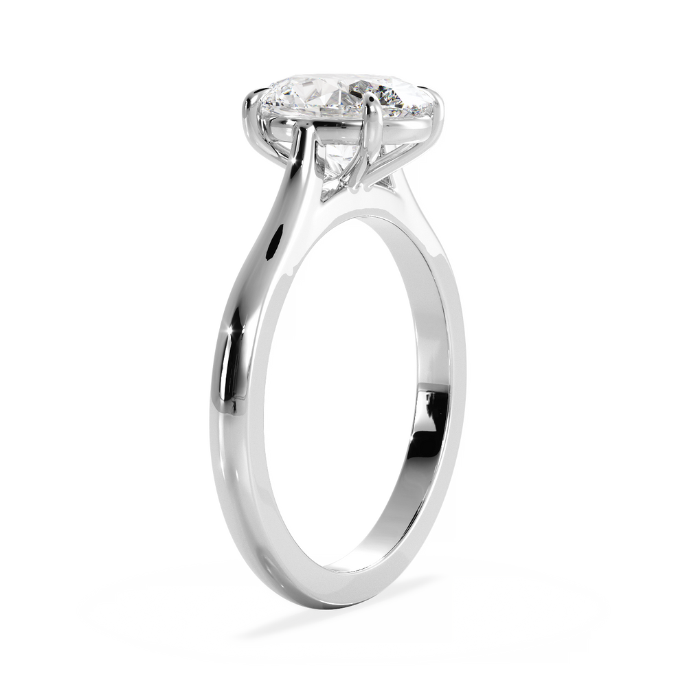 Base Ring - 010600010101030000000000 - View 