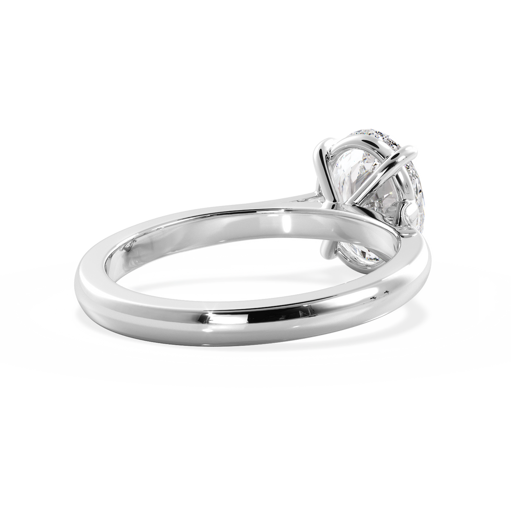 Base Ring - 010600010101030000000000 - View 