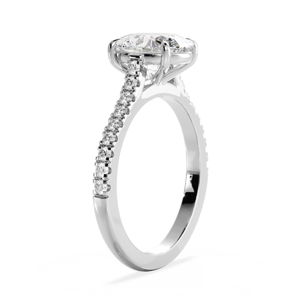 Base Ring - 010600010103070100000000