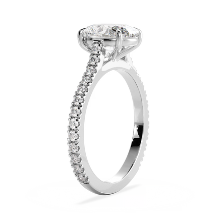 Base Ring - 010600010103110600000000