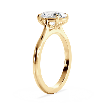 Base Ring - 010600010401020000000000