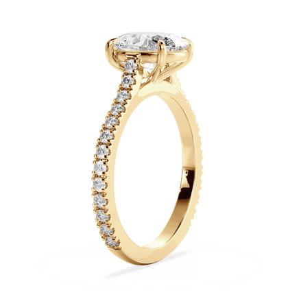Base Ring - 010600010403070200000000