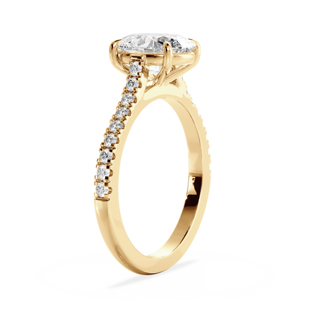 Base Ring - 010600010403110500000000