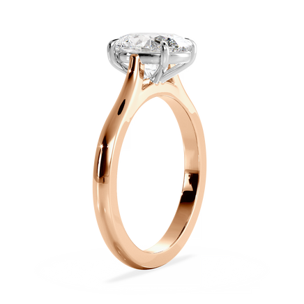 Base Ring - 010600011101030000000000