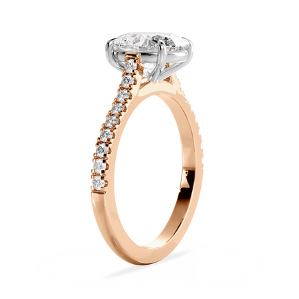 Base Ring - 010600011103070100000000