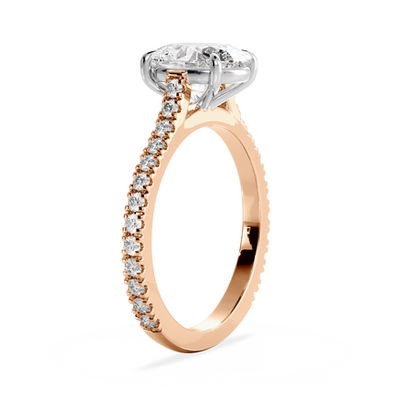 Base Ring - 010600011103070200000000