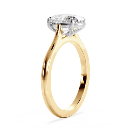 Base Ring - 010600011201020000000000