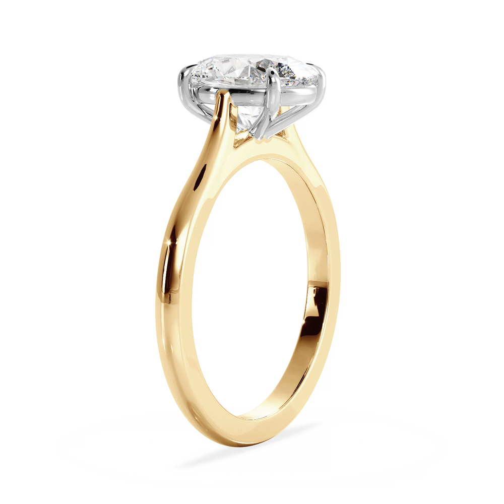 Oval Bespoke Ring - View 
