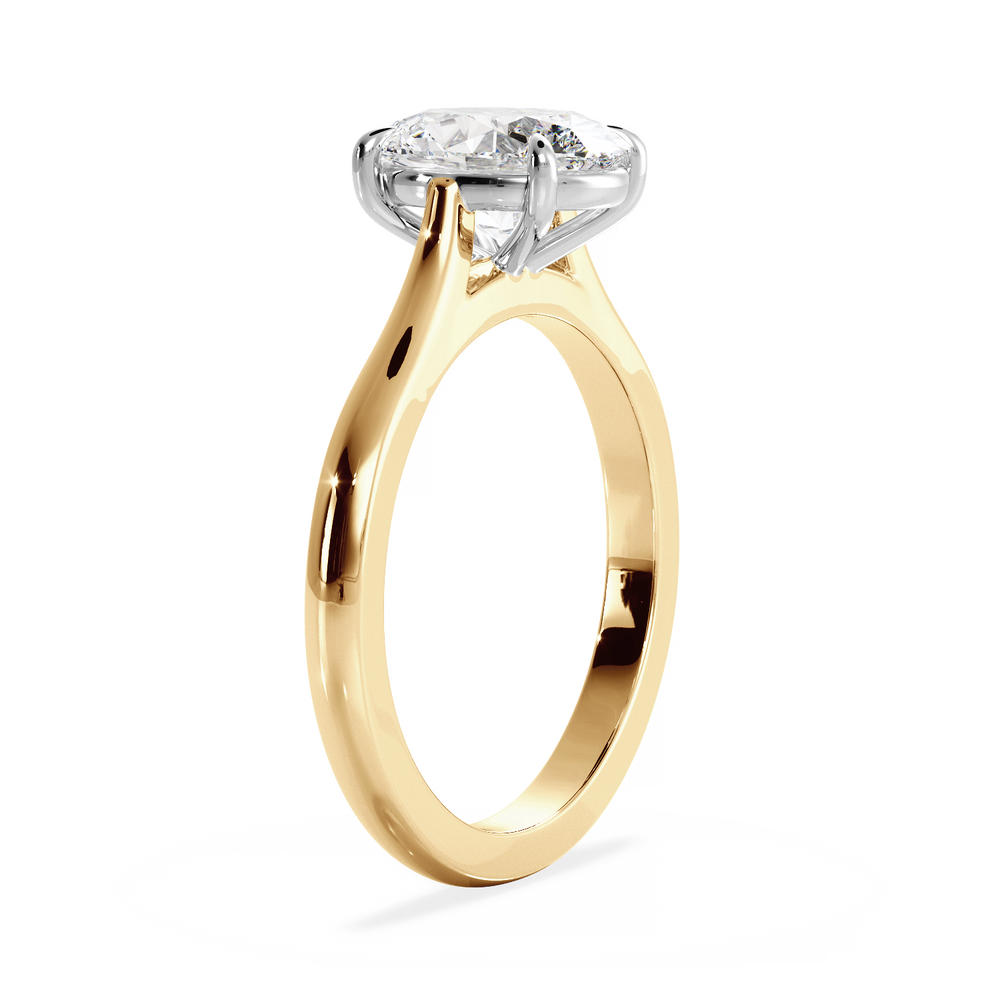 Base Ring - 010600011201030000000000 - View 