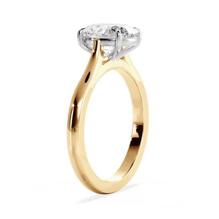 Base Ring - 010600011201030000000000
