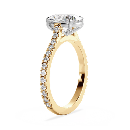 Base Ring - 010600011203070200000000