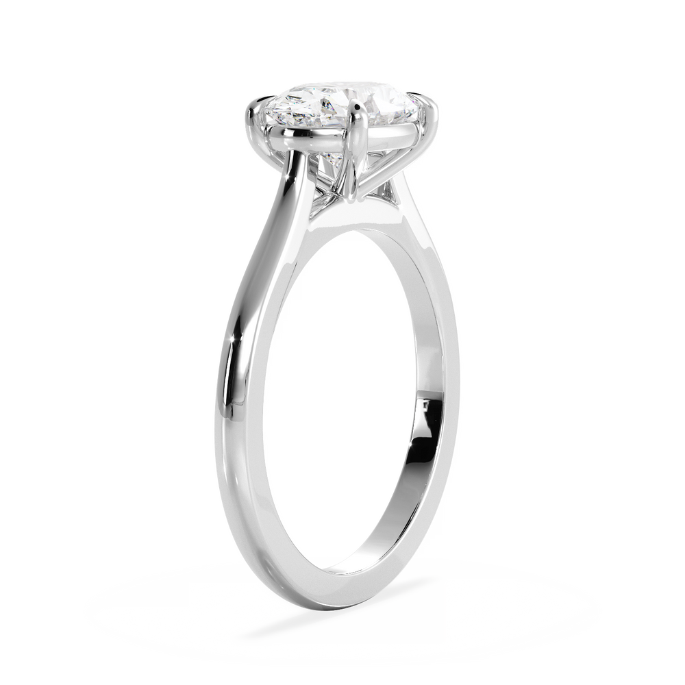 Base Ring - 010600020101020000000000 - View 