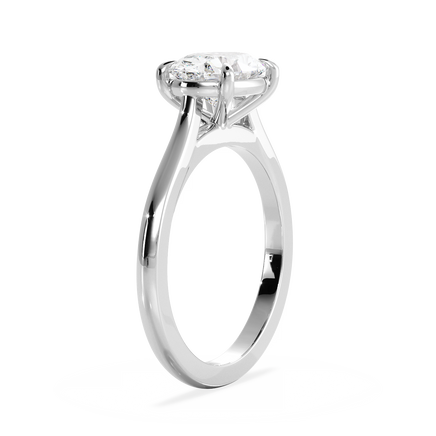 Base Ring - 010600020101020000000000