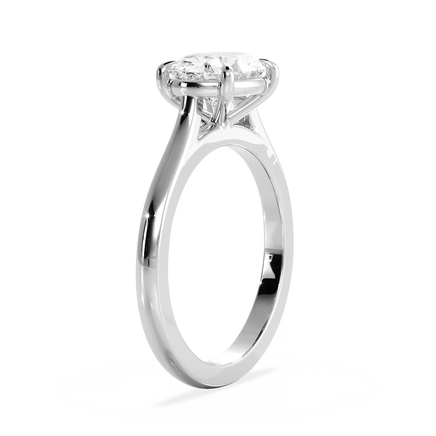 Base Ring - 010600020101030000000000