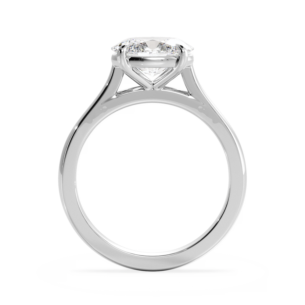 Base Ring - 010600020101030000000000 - View 