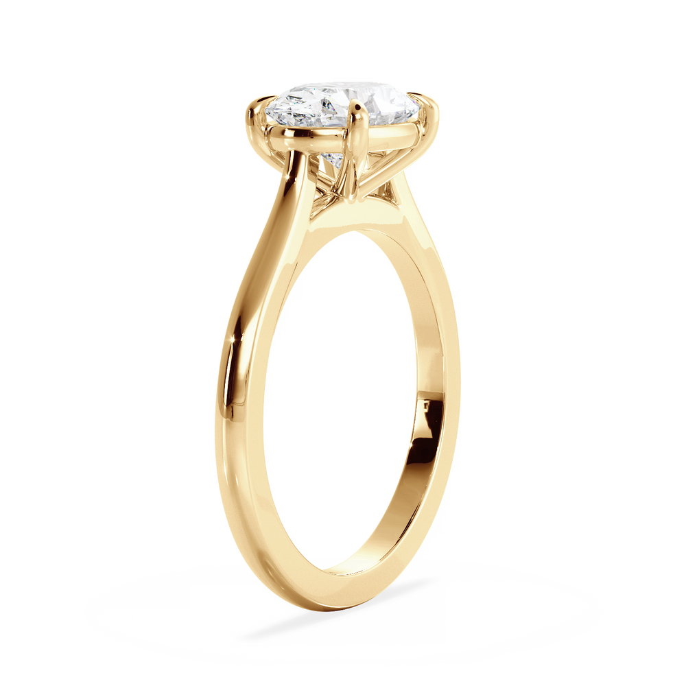 Base Ring - 010600020401020000000000 - View 