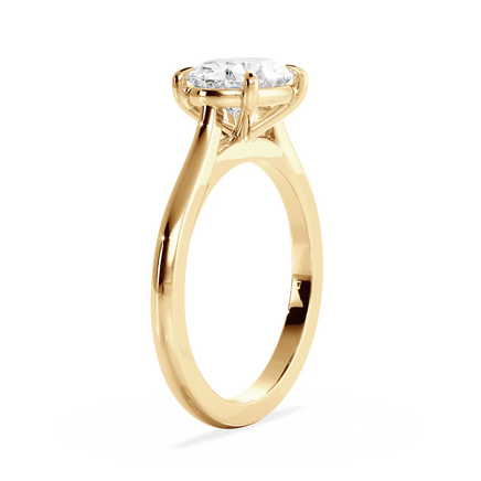 Base Ring - 010600020401020000000000