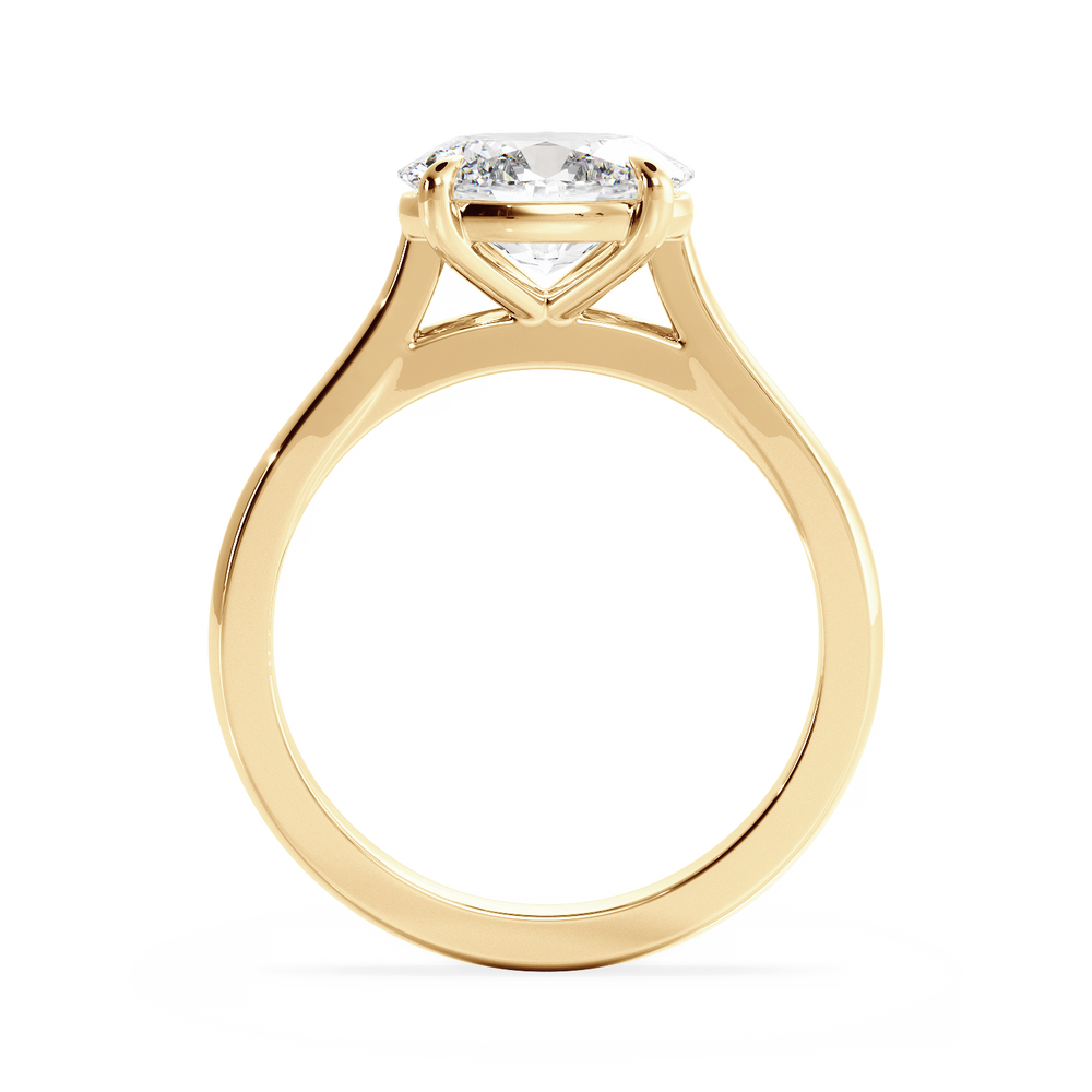 Base Ring - 010600020401020000000000 - View 
