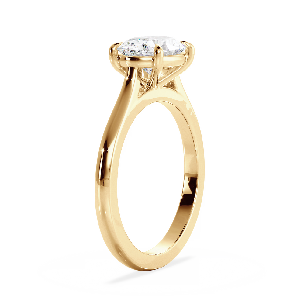 Base Ring - 010600020401030000000000 - View 